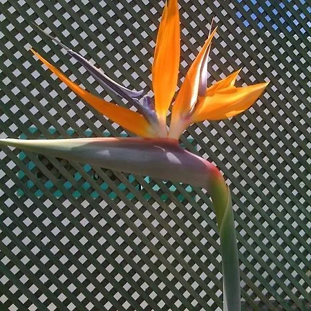 卡萨德尔额木巴加多酒店 4*